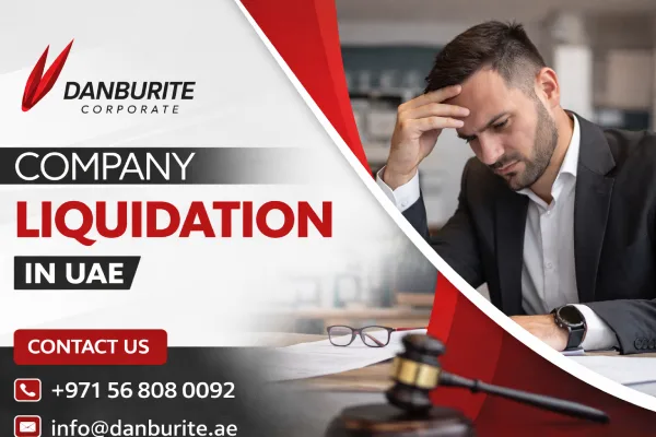 Professional Liquidation Services in UAE