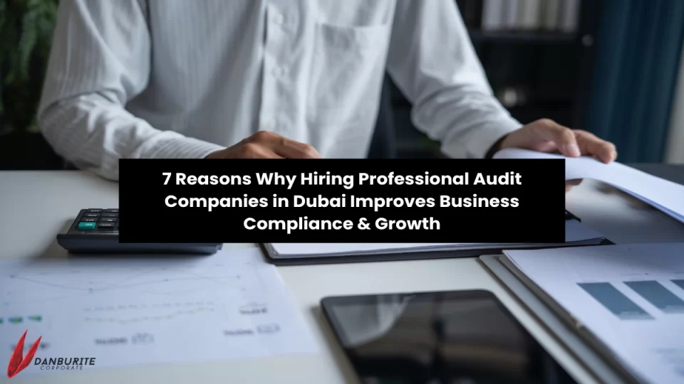 7 Reasons Why Hiring Professional Audit Companies in Dubai Improves Business Compliance & Growth