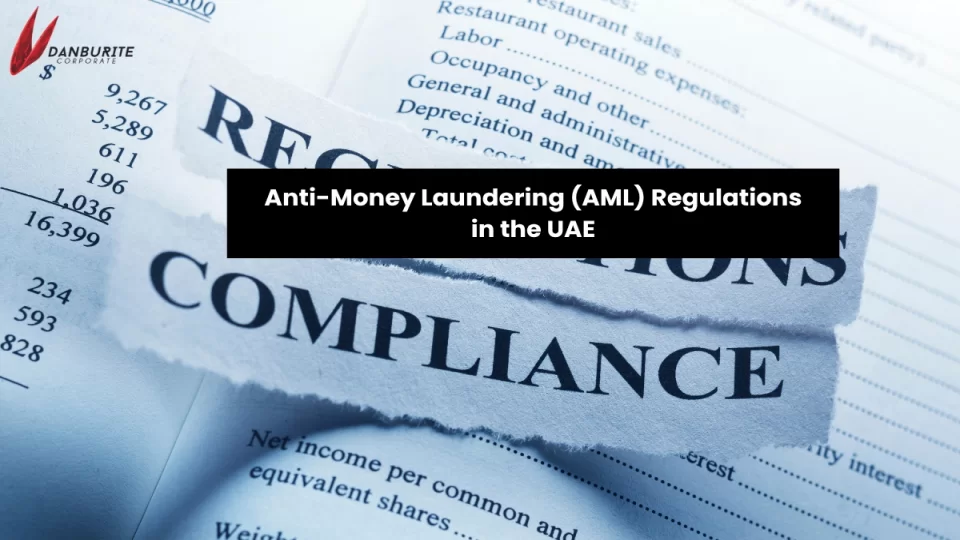 Anti-Money Laundering (AML) Regulations in the UAE