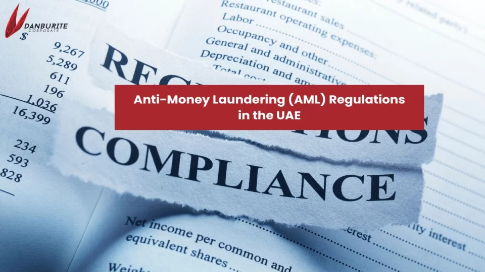 Anti-Money Laundering (AML) Regulations in the UAE