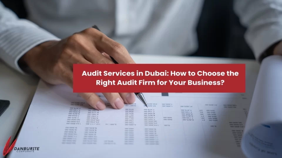 Audit Services in Dubai: How to Choose the Right Audit Firm for Your Business