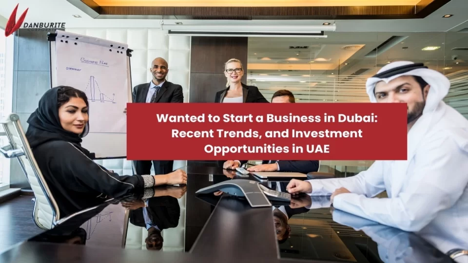 Wanted to Start a Business in Dubai: Get to Know of Setting a Business, Recent Trends, and Investment Opportunities in UAE