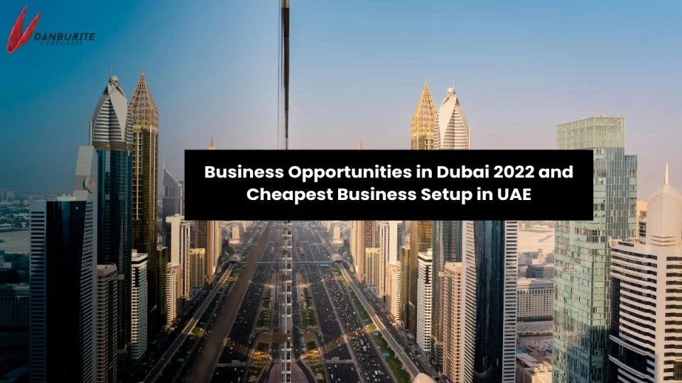 Business Opportunities in Dubai 2022 and Cheapest Business Setup in UAE