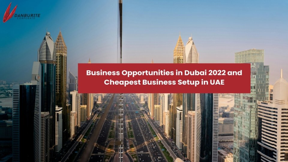 Business Opportunities in Dubai 2022 and Cheapest Business Setup in UAE