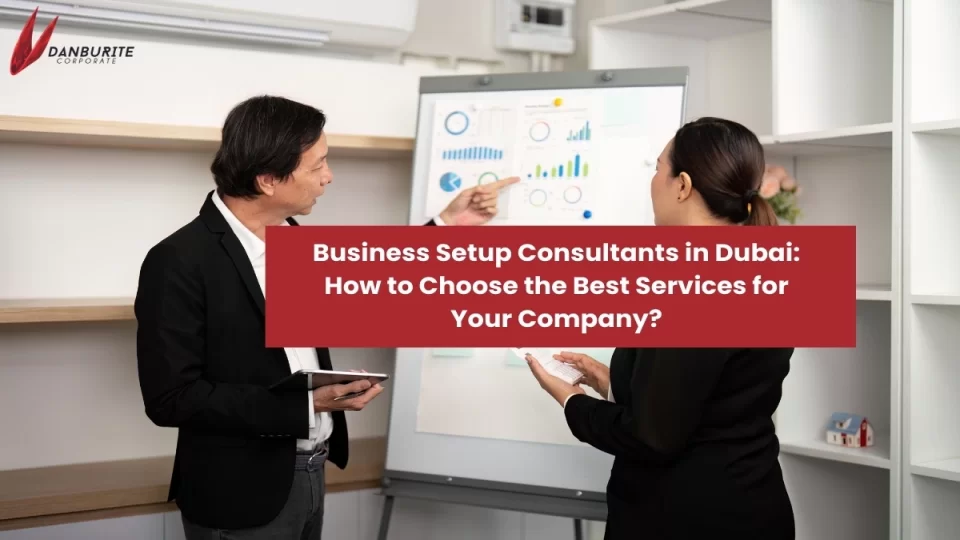 Business Setup Consultants in Dubai: How to Choose the Best Services for Your Company?