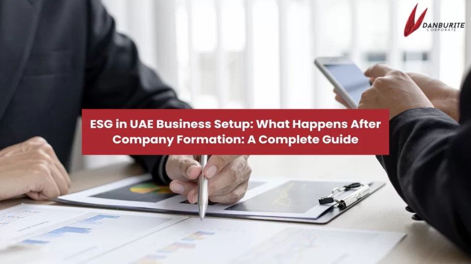 ESG in UAE Business Setup: What Happens After Company Formation: A Complete Guide