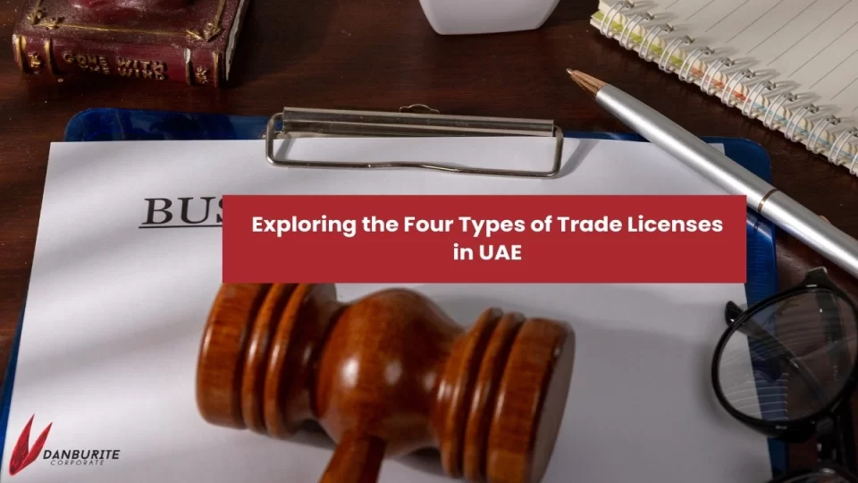 Exploring the Four Types of Trade Licenses in UAE