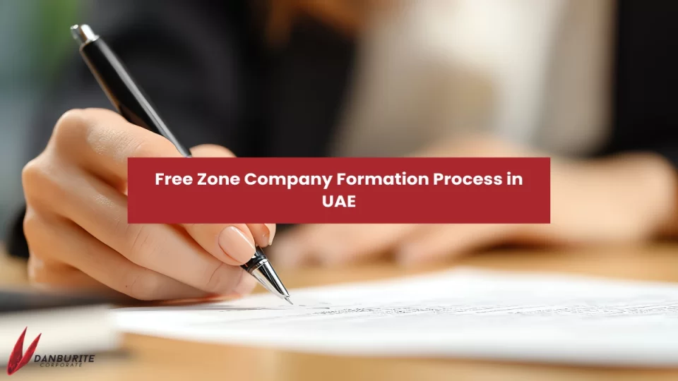 FREE ZONE COMPANY FORMATION PROCESS IN UAE 