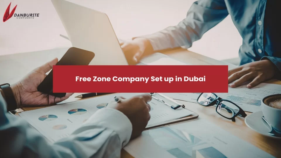 FREE ZONE COMPANY SET UP IN DUBAI
