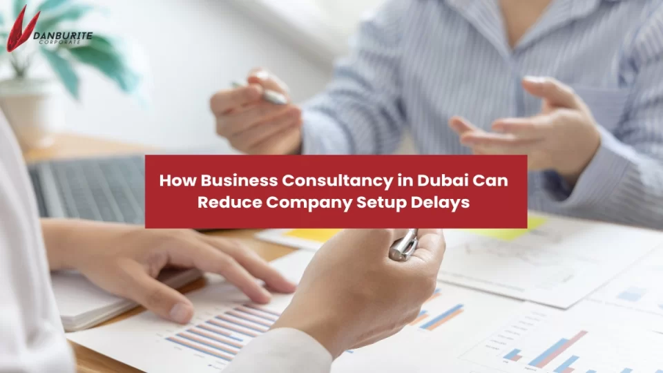 How Business Consultancy in Dubai Can Reduce Company Setup Delays