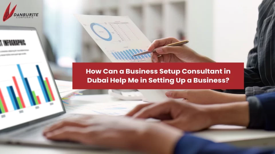 How Can a Business Setup Consultant in Dubai Help Me in Setting Up a Business?