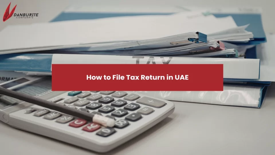 How to File Tax Return in UAE