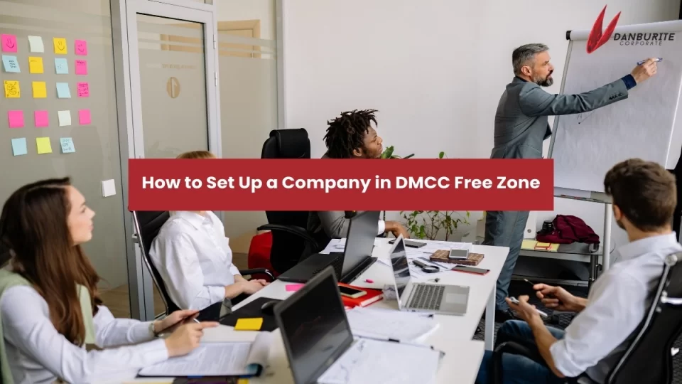 HOW TO SETUP A COMPANY IN DMCC FREE ZONE