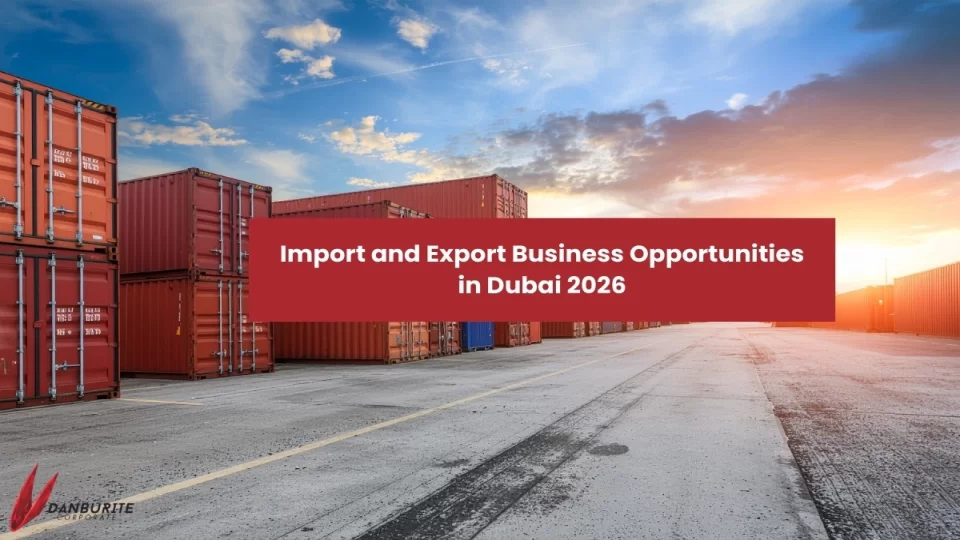 Import and Export Business Opportunities in Dubai 2026
