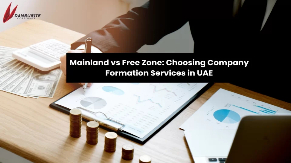 Mainland vs Free Zone: Choosing Company Formation Services in UAE
