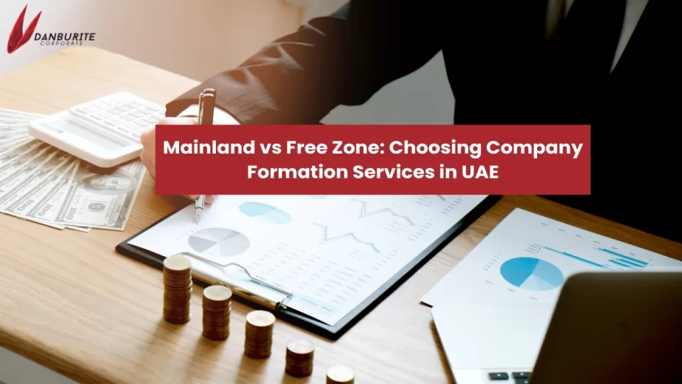 Mainland vs Free Zone: Choosing Company Formation Services in UAE