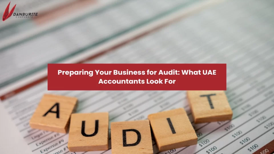  Preparing Your Business for Audit: What UAE Accountants Look For