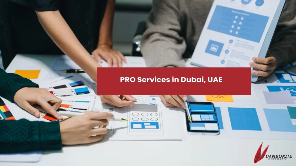 PRO Services in Dubai, UAE
