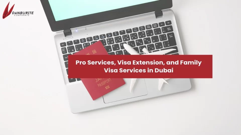 Pro Services, Visa Extension, and Family Visa Services in Dubai
