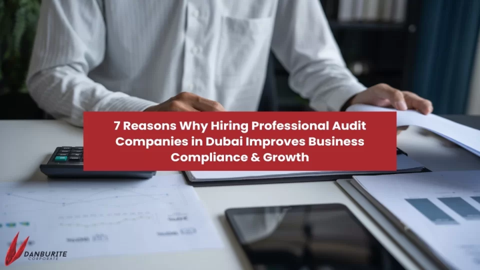7 Reasons Why Hiring Professional Audit Companies in Dubai Improves Business Compliance & Growth