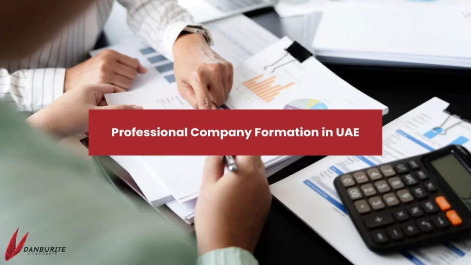 Professional Company Formation in UAE