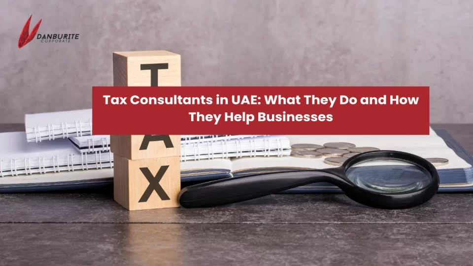 Tax Consultants in UAE: What They Do and How They Help Businesses