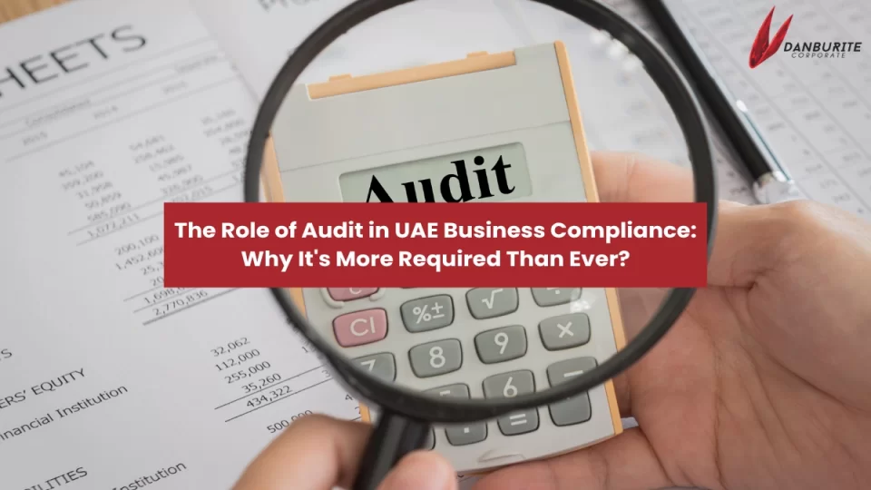 The Role of Audit in UAE Business Compliance: Why It's More Required Than Ever?