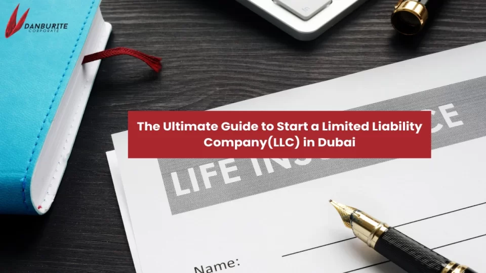 The Ultimate Guide to Start a Limited Liability Company(LLC) in Dubai