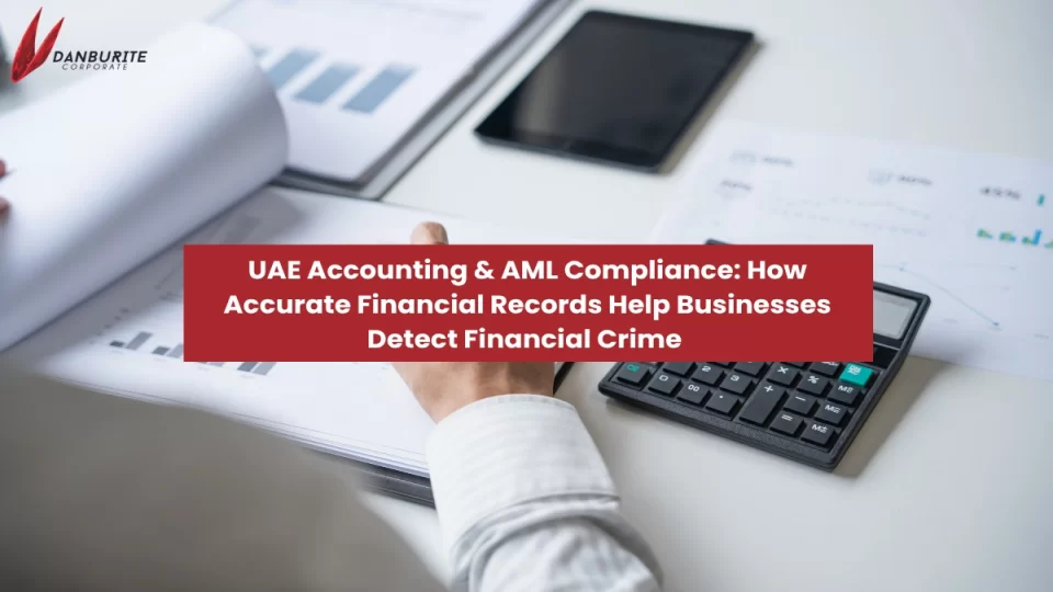 UAE Accounting & AML Compliance: How Accurate Financial Records Help Businesses Detect Financial Crime 