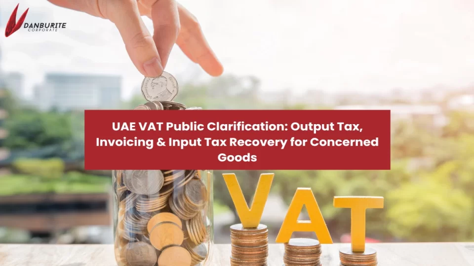 UAE VAT Public Clarification: Output Tax, Invoicing & Input Tax Recovery for Concerned Goods