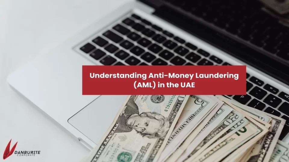 Understanding Anti-Money Laundering (AML) in the UAE