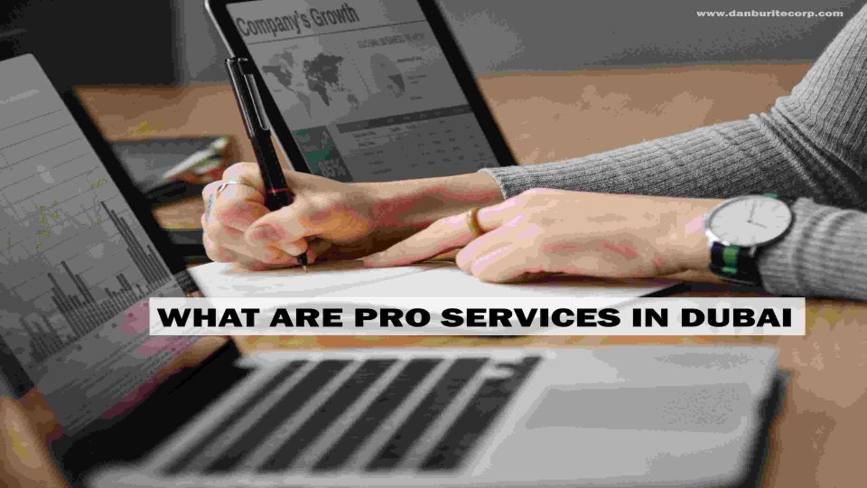 What Are PRO Services In Dubai