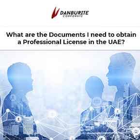 What are the documents I need to obtain a professional license in the UAE?