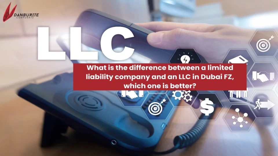 What is the difference between a limited liability company and an LLC in Dubai FZ which one is better