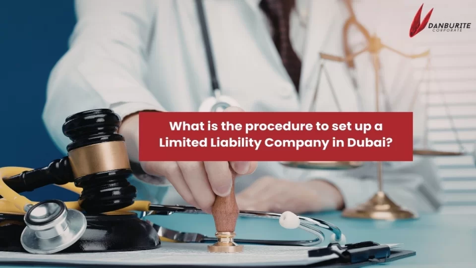 What is the procedure to set up a Limited Liability Company in Dubai?