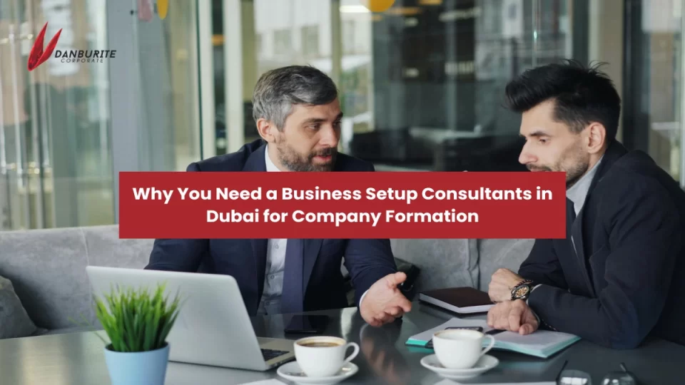 Why You Need a Business Setup Consultant in Dubai for Company Formation? 