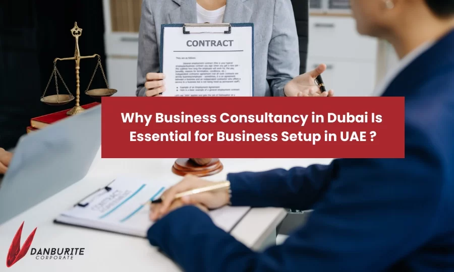 Expert Business Setup Consultants in Dubai: Complete Guide to Company Formation in UAE