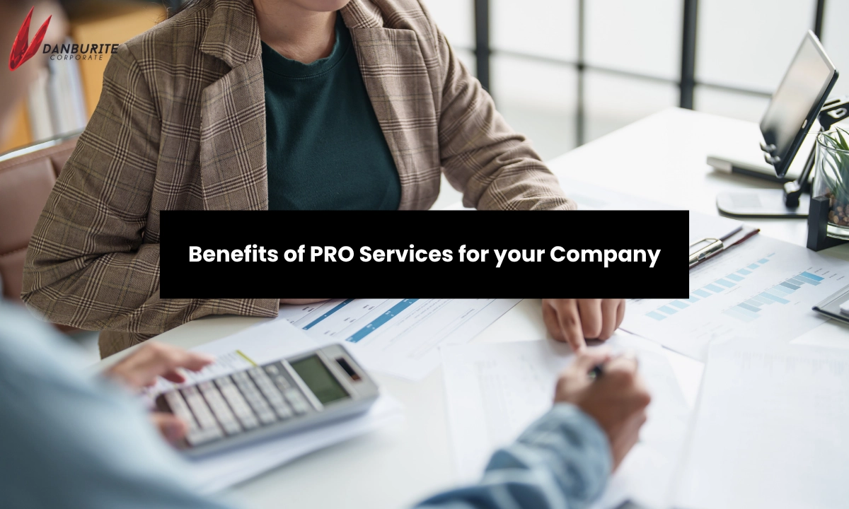 Benefits of PRO services in Dubai, UAE | Danburite Corporate