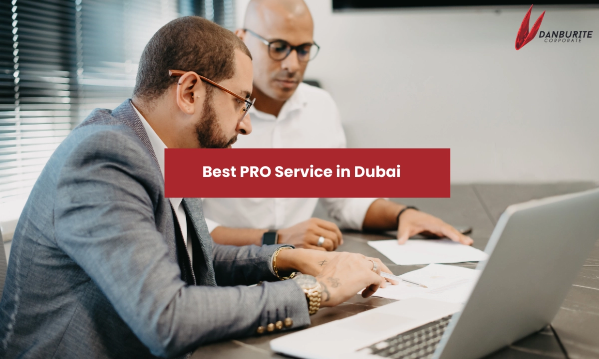 PRO Services in Dubai | Visa & Business Support UAE