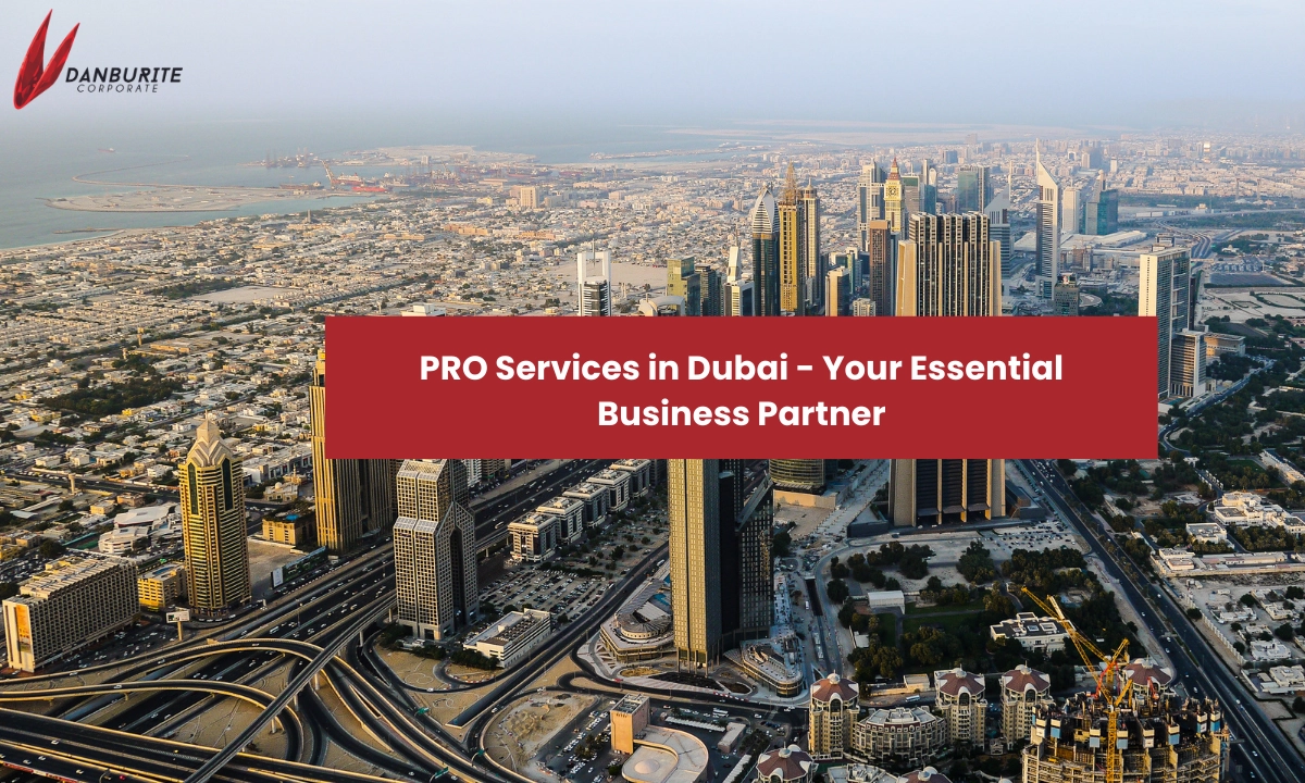 PRO Services Dubai for Business Setup | Danburite Corporate