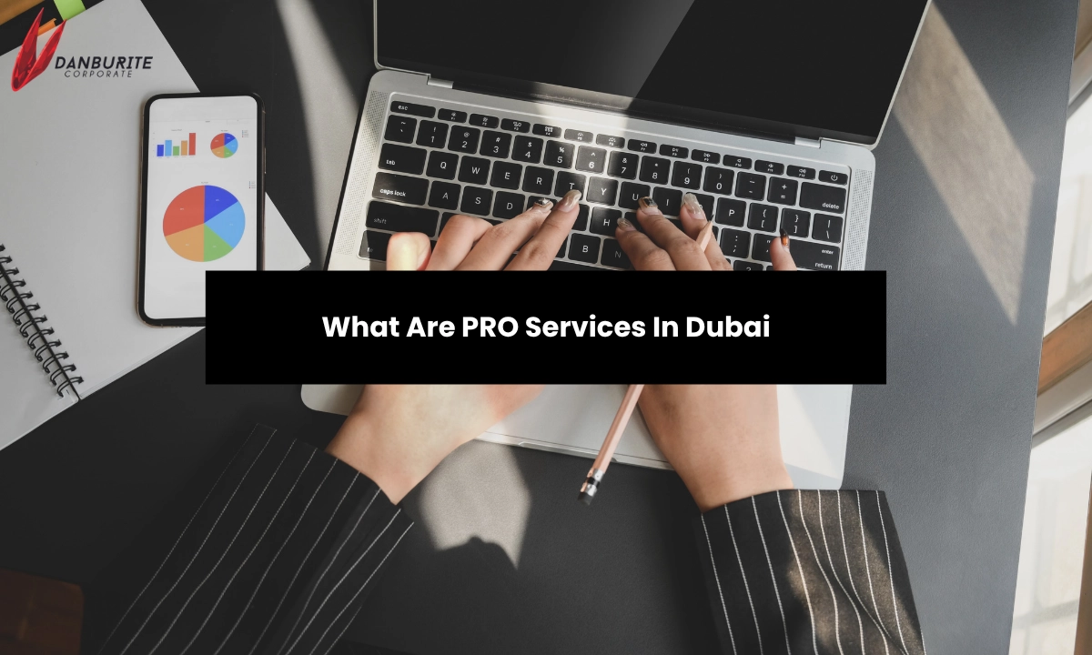 What Are PRO Services in Dubai? | Danburite Corporate