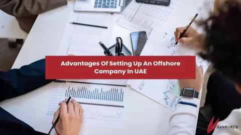 Advantages Of Setting Up An Offshore Company In UAE