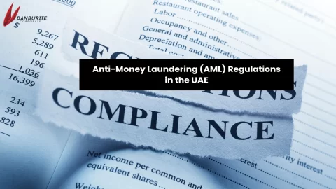 Anti-Money Laundering (AML) Regulations in the UAE