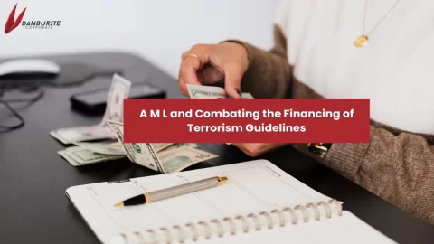 Anti-Money Laundering and Combating the Financing of Terrorism Guidelines for Designated Non-Financial Businesses and Professions
