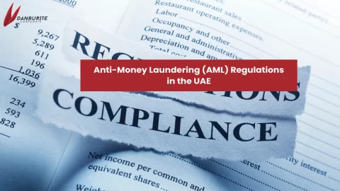 Anti-Money Laundering (AML) Regulations in the UAE