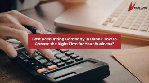 Best Accounting Company in Dubai: How to Choose the Right Firm for Your Business?