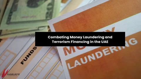 Combating Money Laundering and Terrorism Financing in the UAE