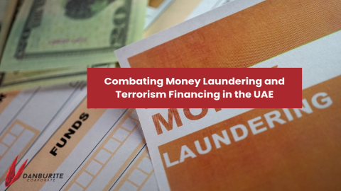 Combating Money Laundering and Terrorism Financing in the UAE
