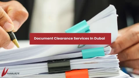 Document Clearance Services In Dubai