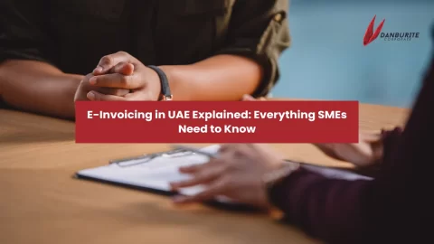 E-Invoicing in UAE Explained: Everything SMEs Need to Know